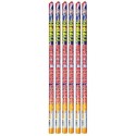Wholesale Fireworks 10 Ball Magical Roman Candle 6/Pk Case 24/6